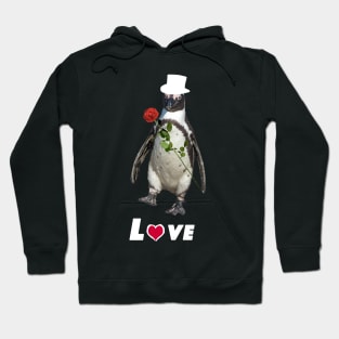 gift idea love Hoodie